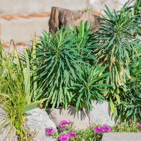 度假居 Luna By Interhome