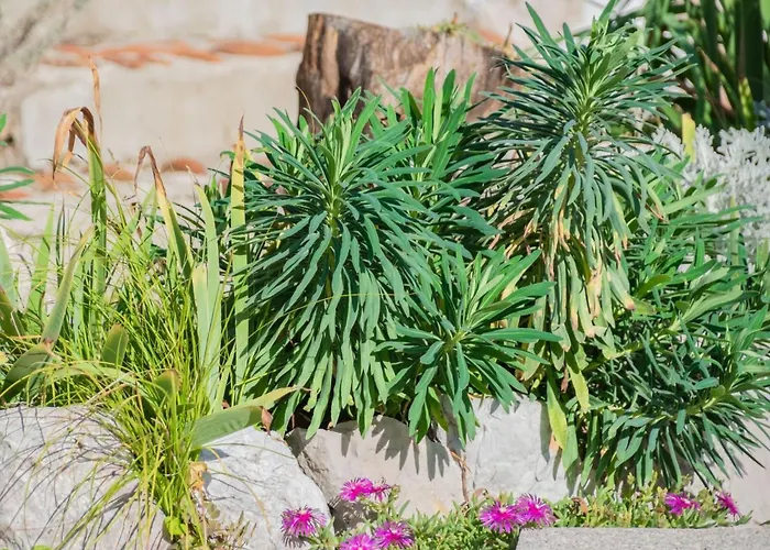 Vakantiehuis Luna By Interhome