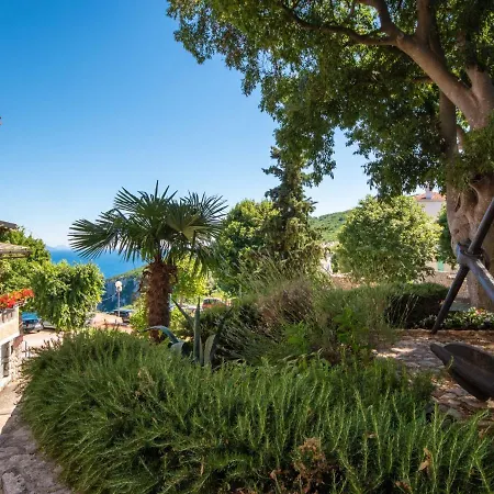 Luna By Interhome Tatil Evi Brseč